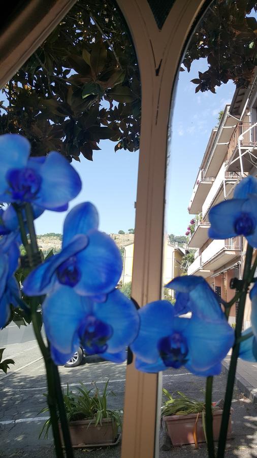 Hotel Ristorante Umbria Orvieto Buitenkant foto